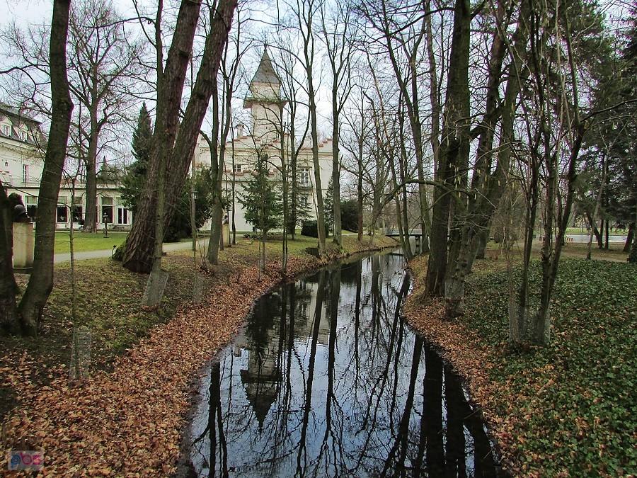 Radziejowice - kanałek w parku