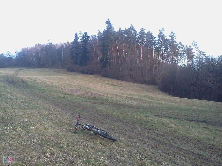 Hlinova
