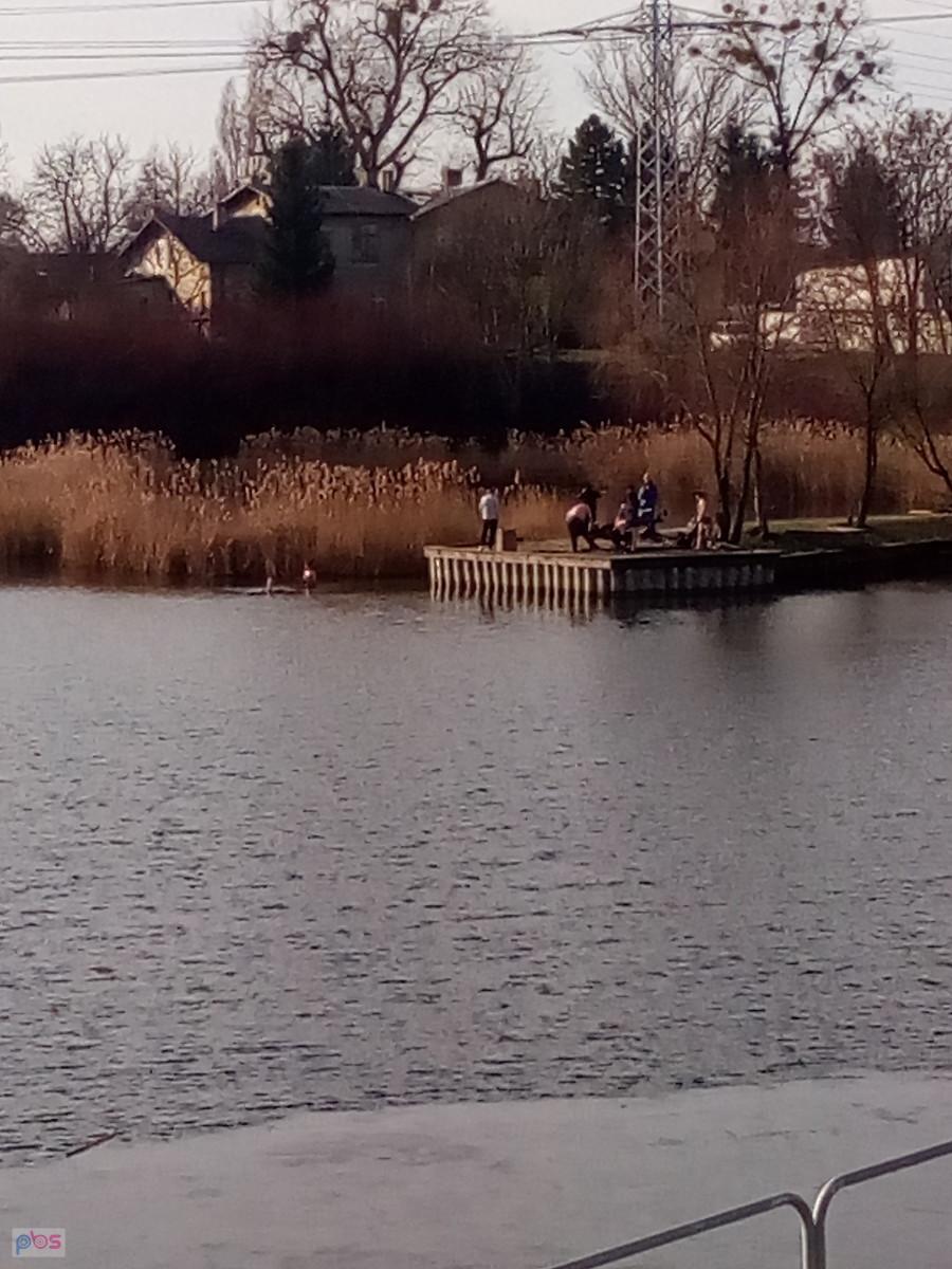 Morsy w kąpieli, jak zawsze w niedzielę o tej porze
