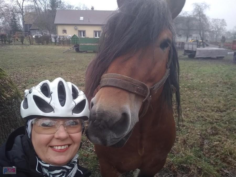 Postój Steblewo