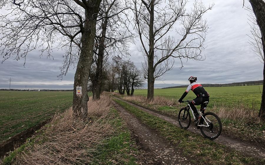 Wiosenne klimaty w końcówce lutego