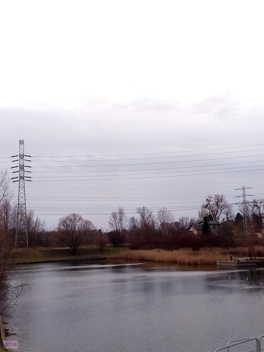 Dla Morsów chyba dziś za ciepło (+9), a może za wcześnie