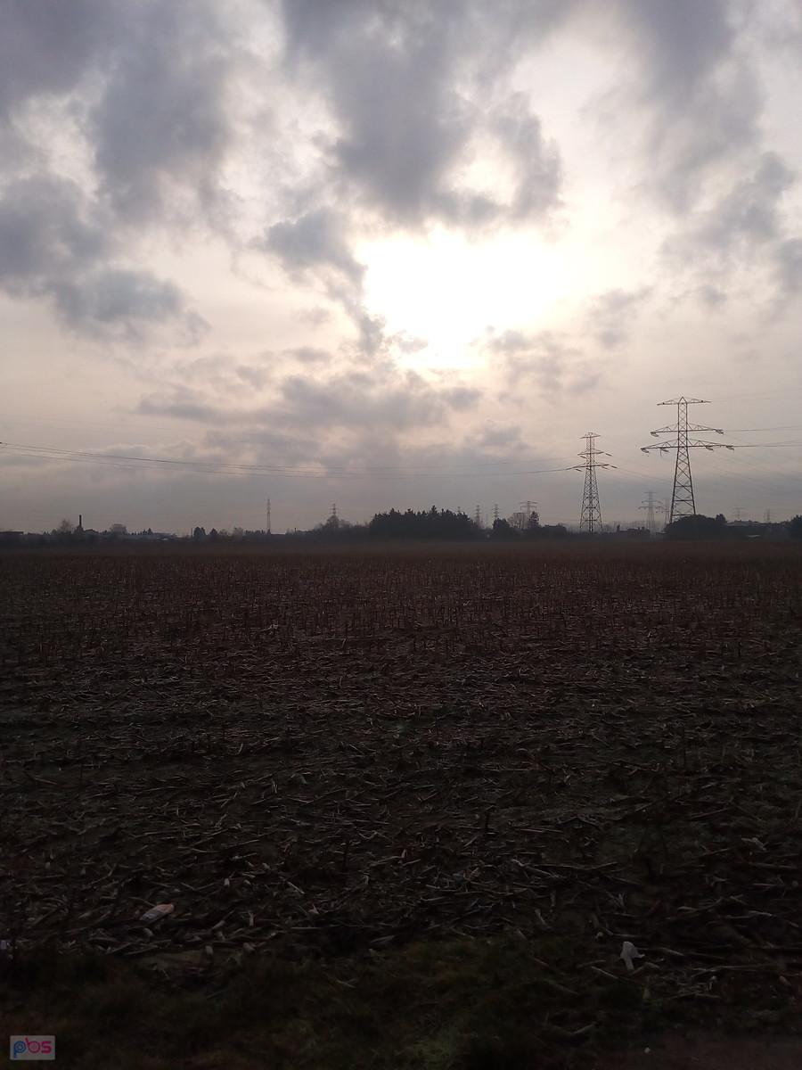 Kukurydziane rżysko i słońce