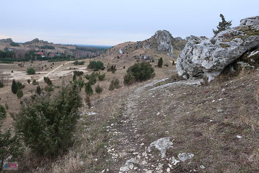 Olsztyńskie ścieżki