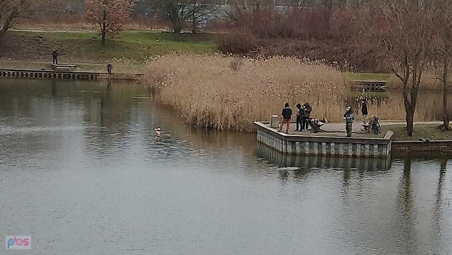 Pięciu kibiców jeden mors