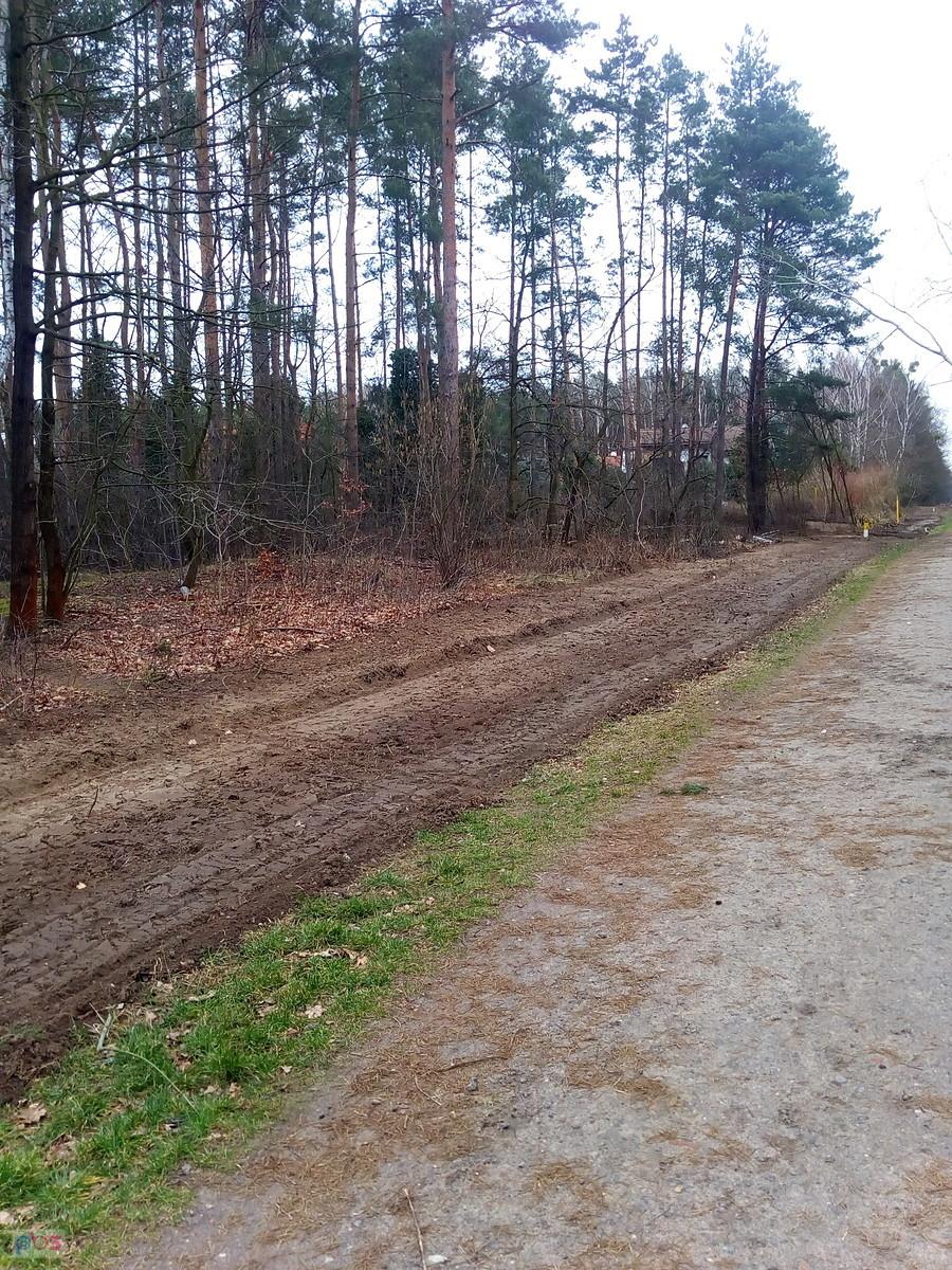 Przy leśnej drodze wycięli forsycje i zrobili takie coś..Drogę będą poszerzać, czy coś innego robić?