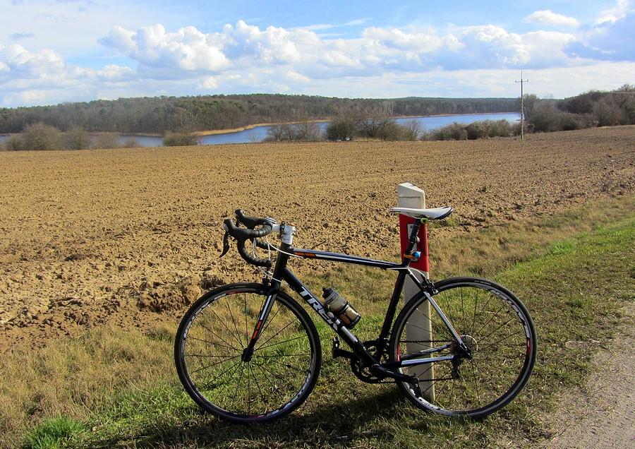 Widoczek na Wielkopolski Park Narodowy