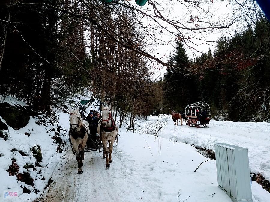 Nawet śnieg widać