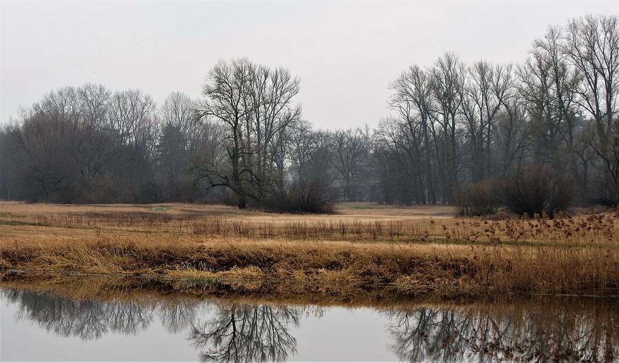 Dzikie ostępy Warty - Port Radzewice