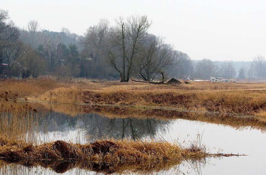 Warciańskie labirynty - Port Radzewice