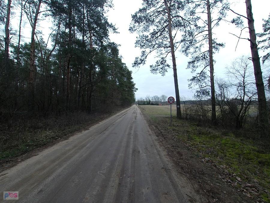 Terenowy fragment Sikory - Poddębie ok. 5 km