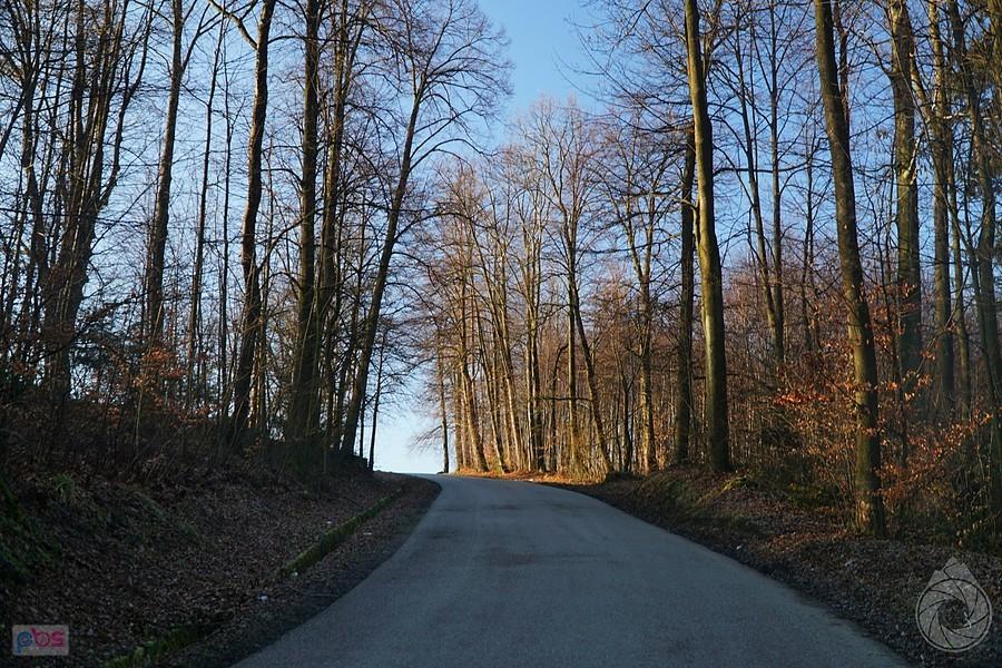 końcówka podjazdu na przełączkę nad Kalwarię