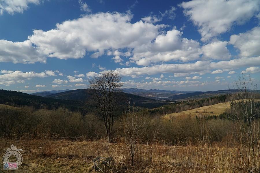 widok z Makowskiej Góry na (chyba) zachód