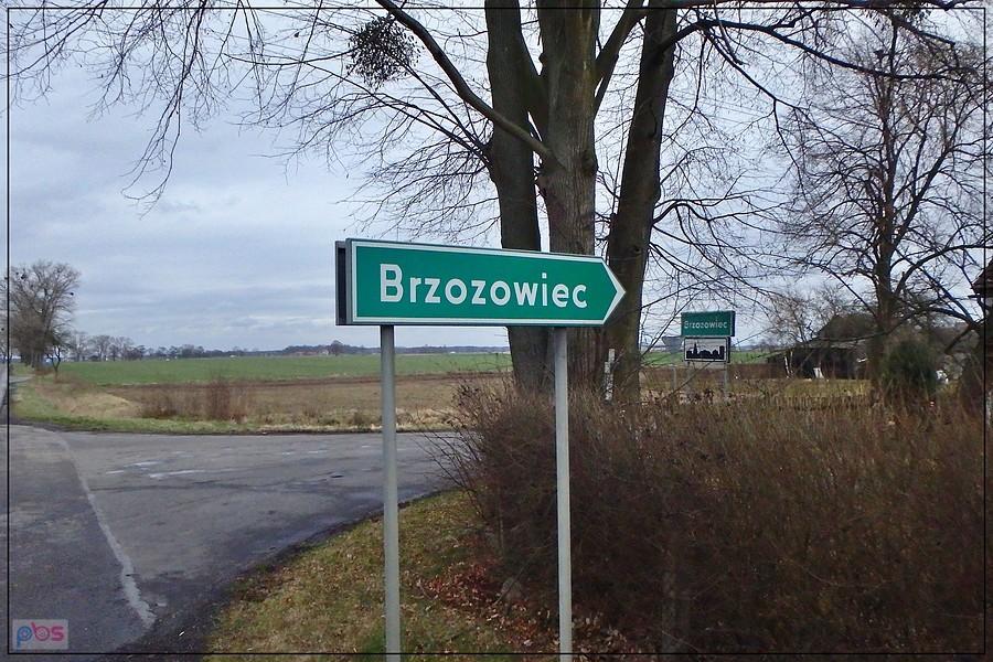 Brzozowiec tuż za rogiem ;-)