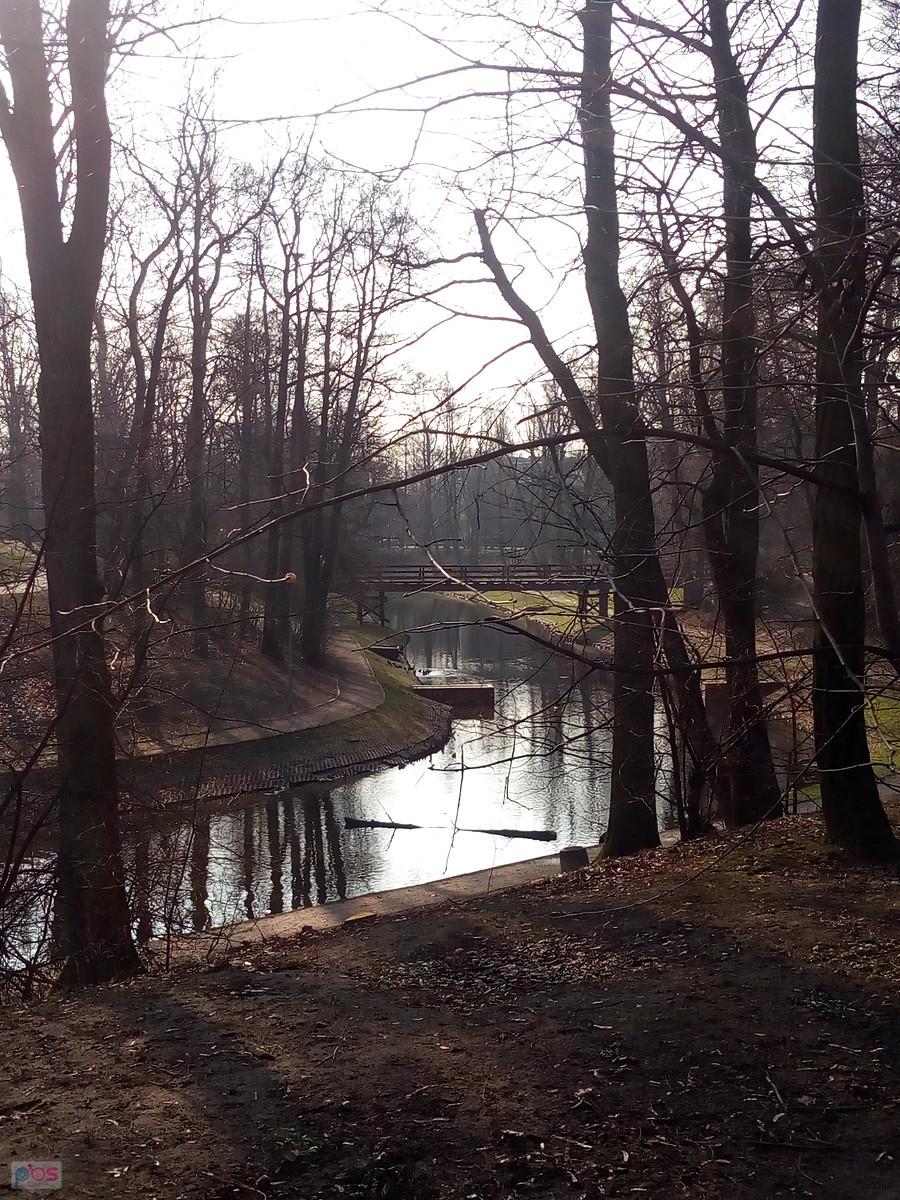 Fosa w parku na Forcie Bema