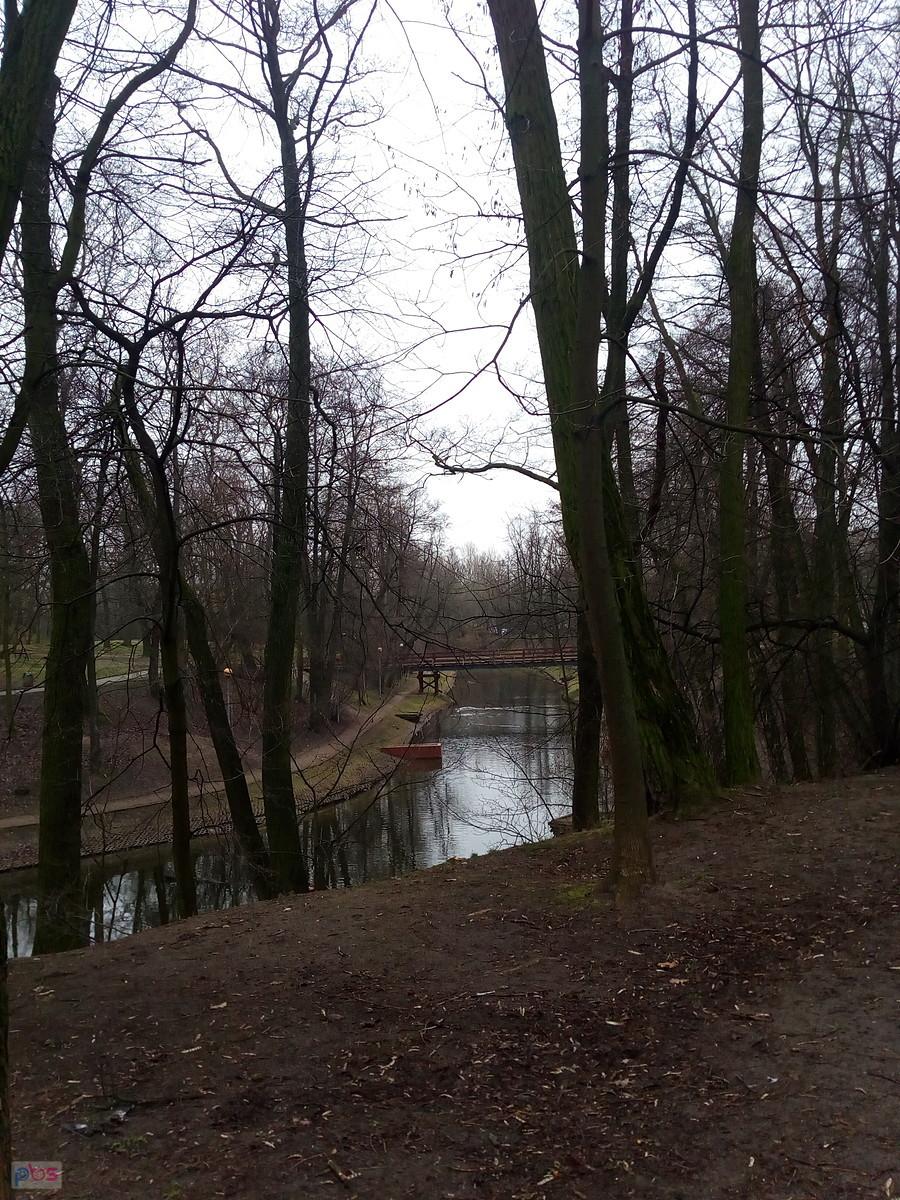 Fosa w parku