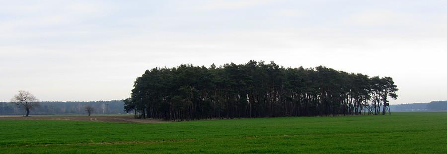 Wielkopolskie klimaty