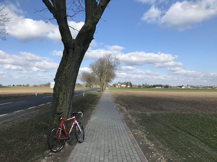 ścieżka rowerowa przed Kruszewem