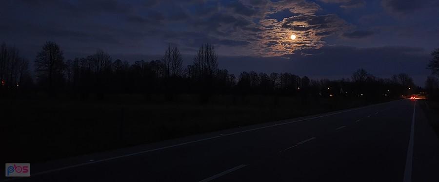 Powrót w towarzystwie Łysego