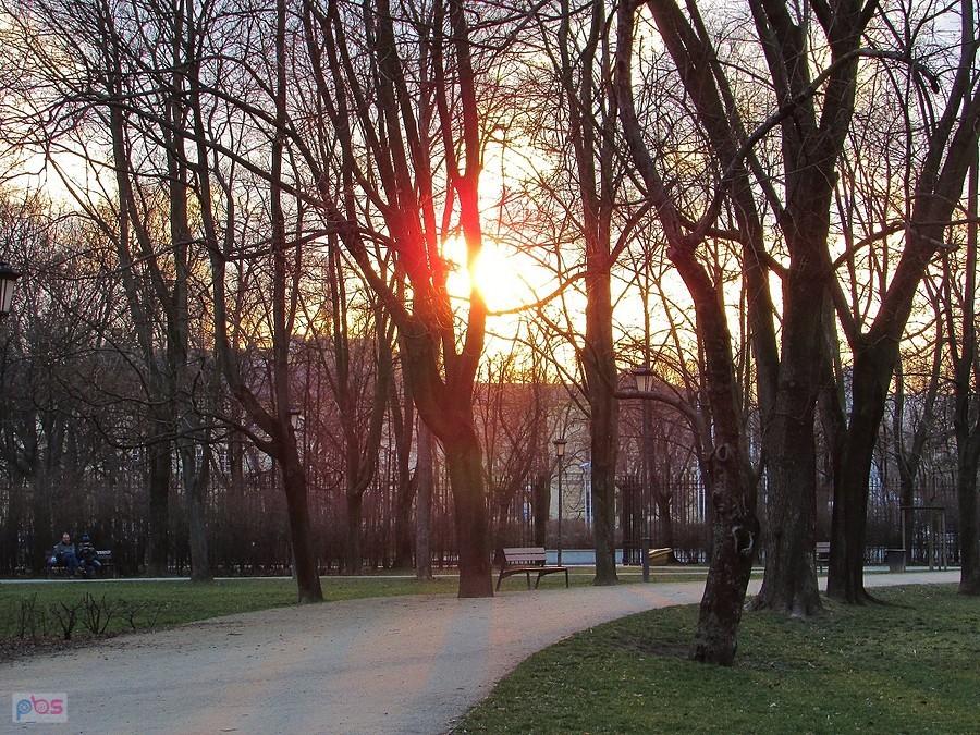 Ogród Krasińskich