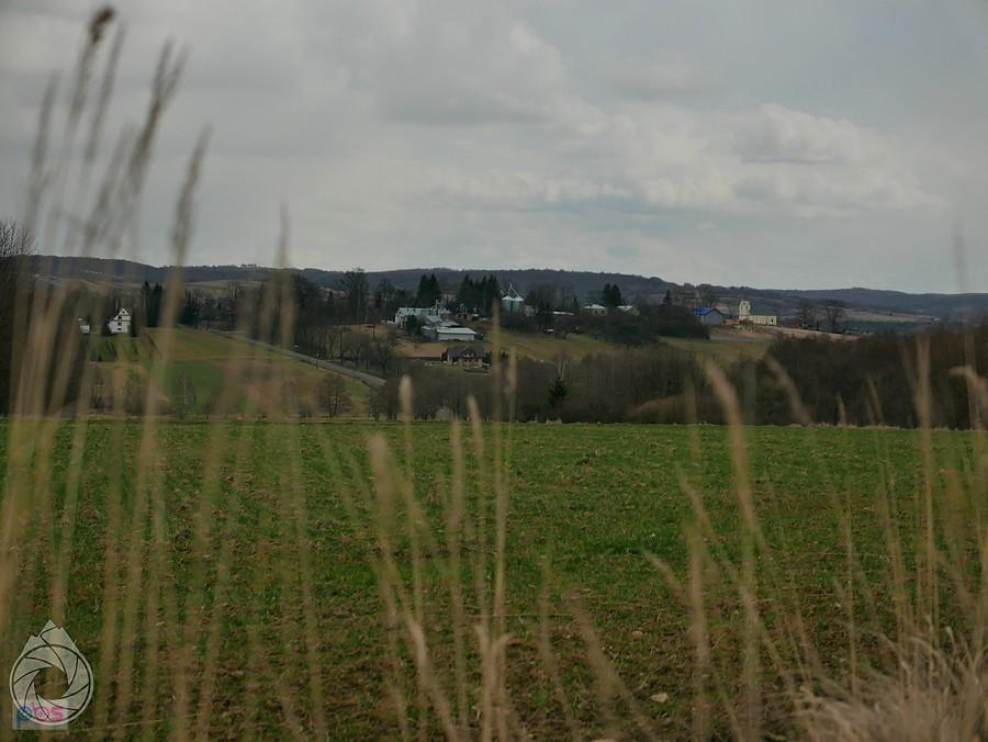 Dębowiec zachmurzony