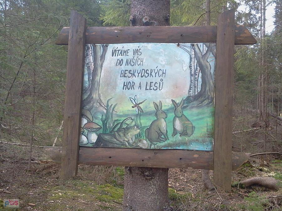 Jeden z obrazków