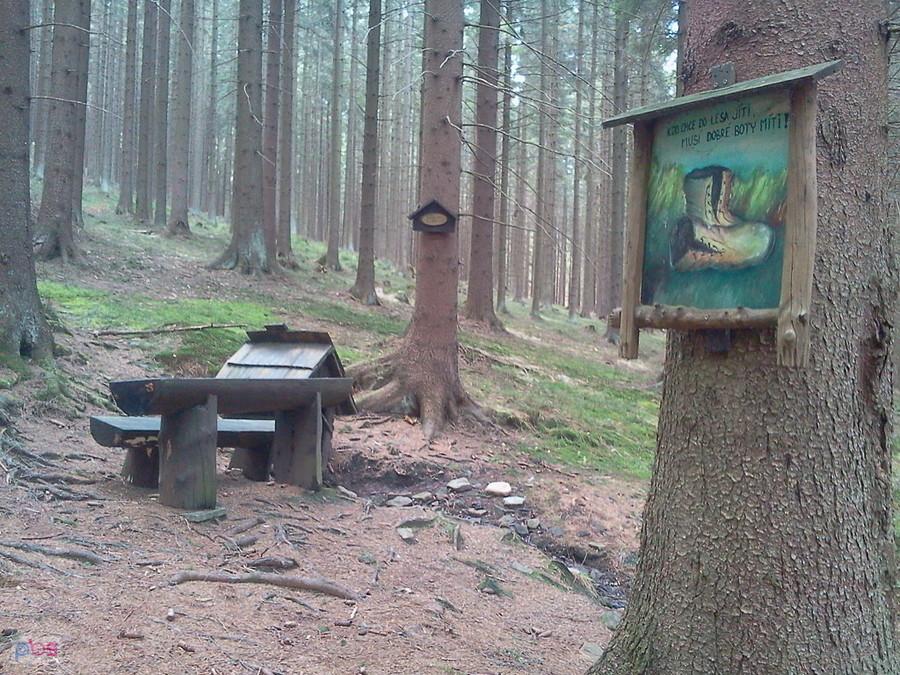Żródełko i miejsce odpoczynkowe