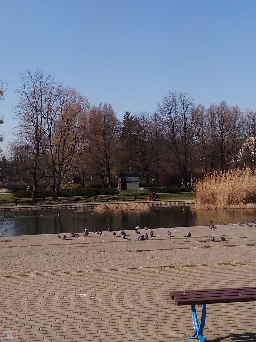W parku Szymańskiego