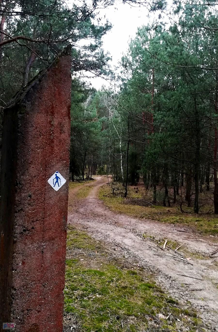 Szlakiem pieszym