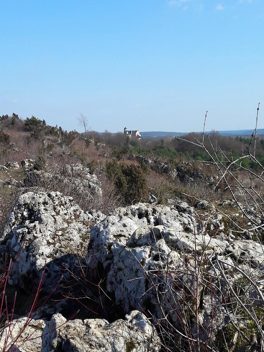 Zamek w Bobolicach widziany z Grzędy Mirowskiej.