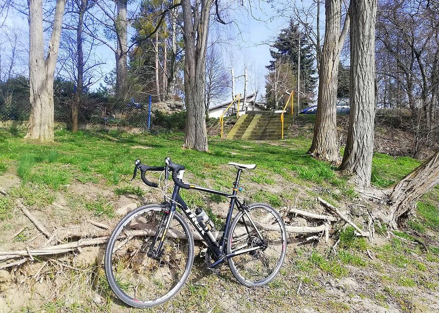 Do korzeni - Jezioro Dębno