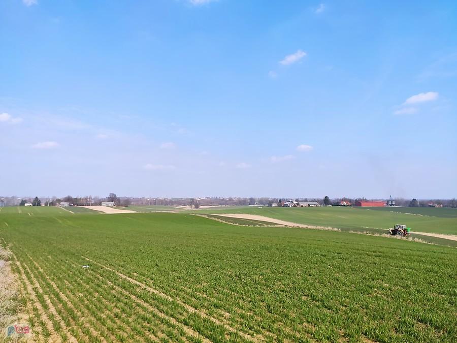 Pola w Sługocinie