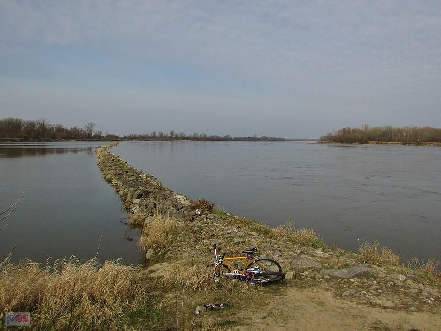 Ostroga wiślana
