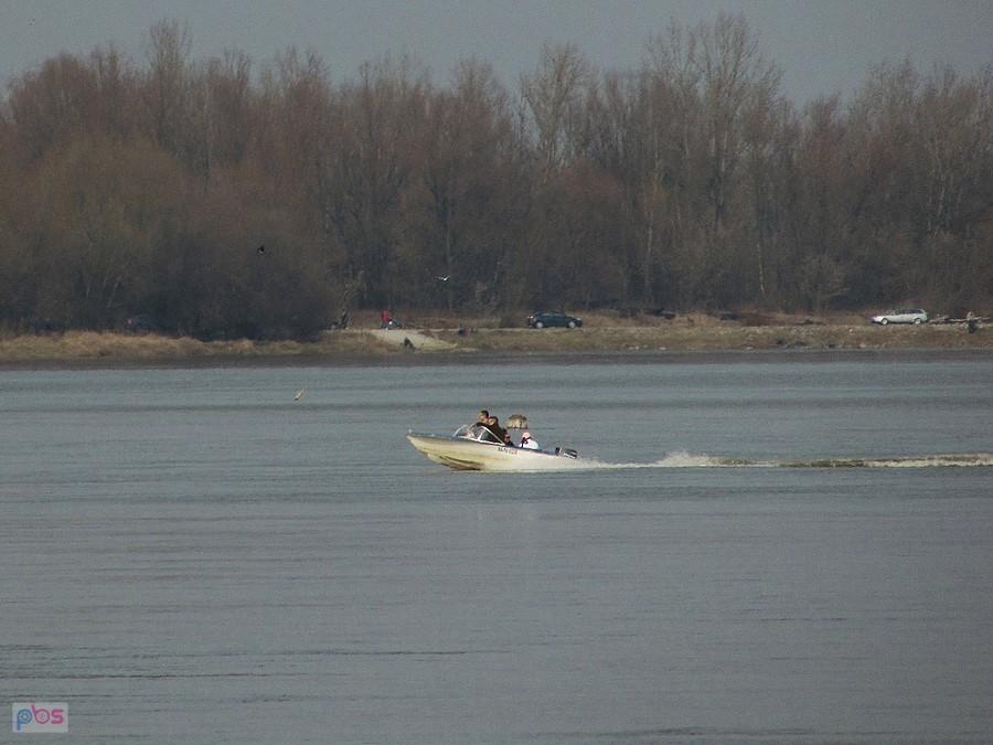 Motorówka na Wiśle w okolicach Piasków