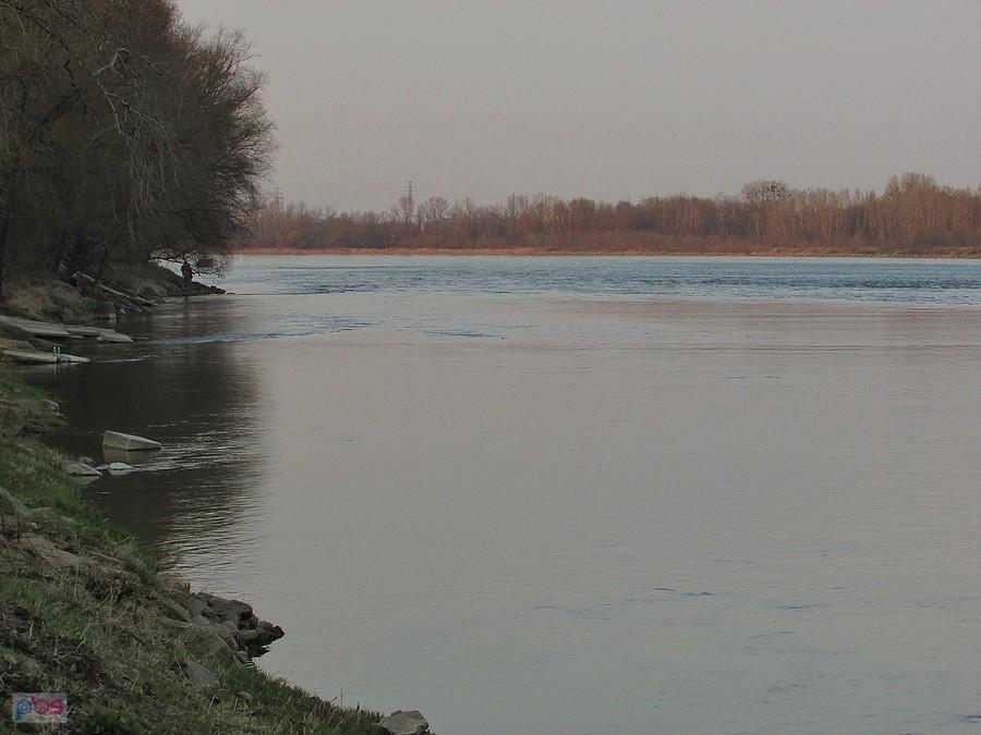 Wisła przy Plaży Żoliborz