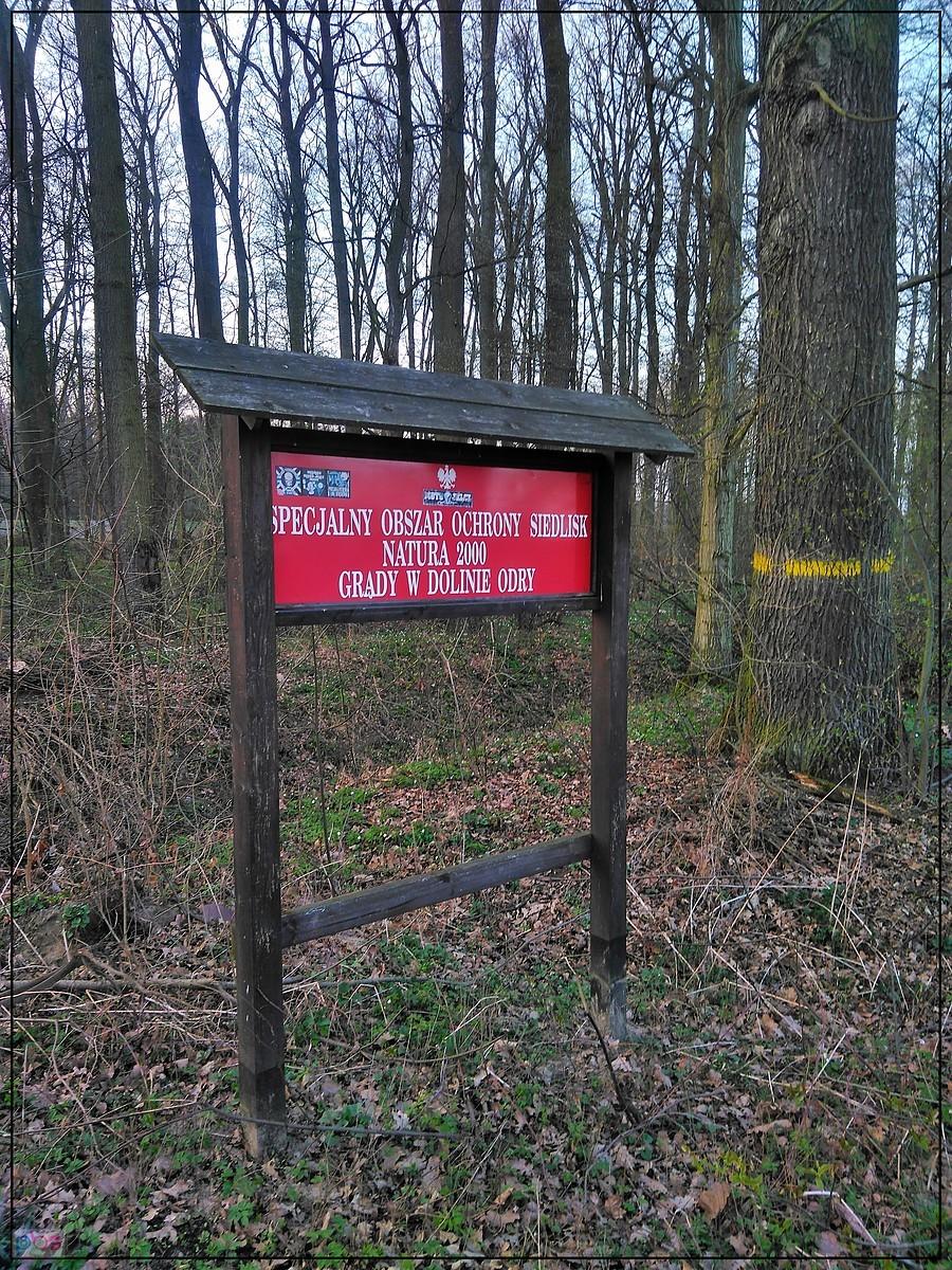 Kolejna do kolekcji