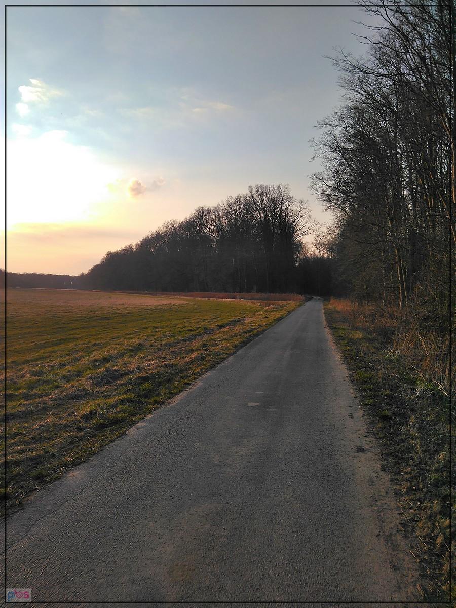 Świetna szutrowa ścieżka do Oławy