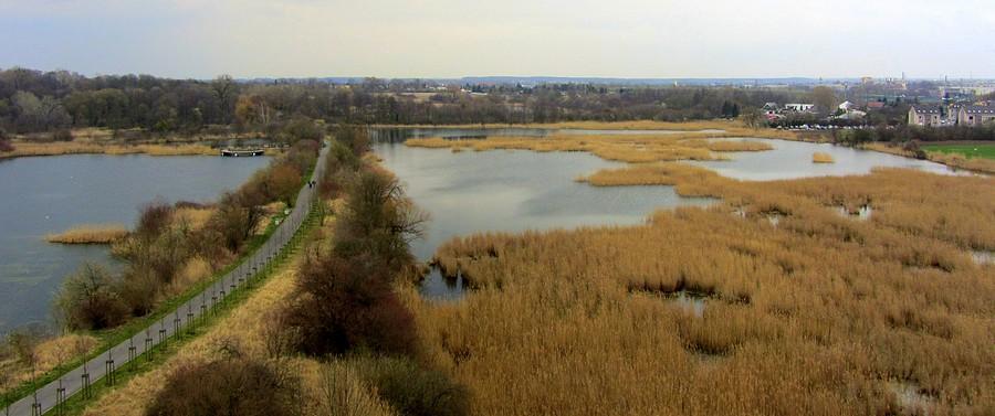 Kierunek Dębiec, Szachty