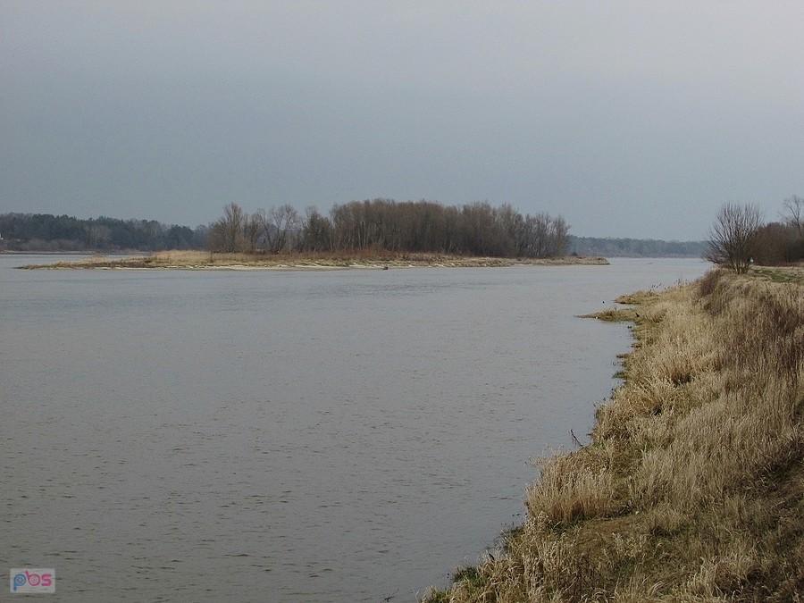 Wyspa na Wiśle