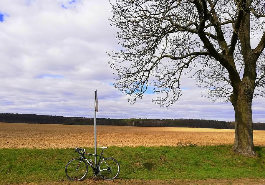 Pola przed Puszczą Zielonka