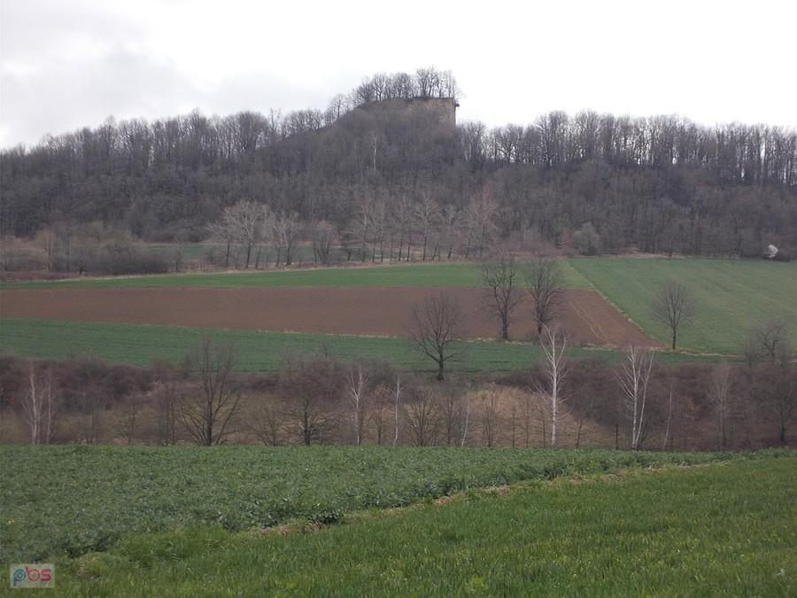 Wolfsberg – bazaltowy szczyt o wysokości 367 m n.p.m. na Pogórzu Kaczawskim (północno-zachodni skraj Pogórza Złotoryjskiego), pomiędzy miastem Złotoryja, Jerzmanicami a Wilkowem