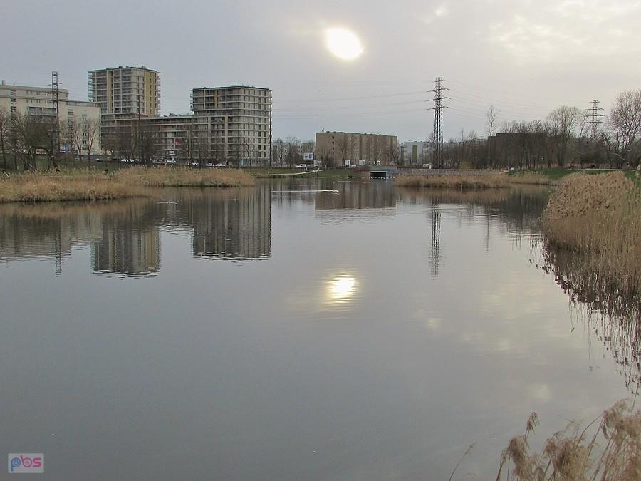 Staw Służewiecki