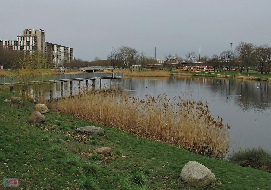 Staw Służewiecki i molo