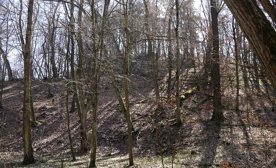 Grodzisko widziane poprzez gałęzie