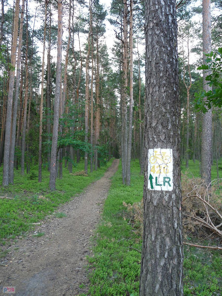 Nie wszędzie różowo
