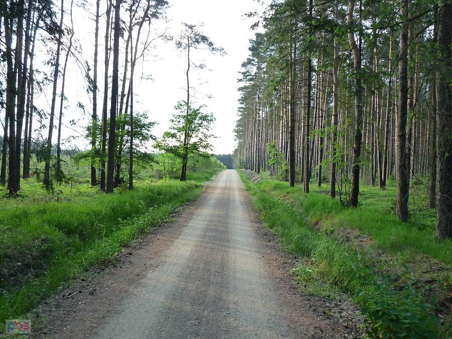 Hajłeje "LR"