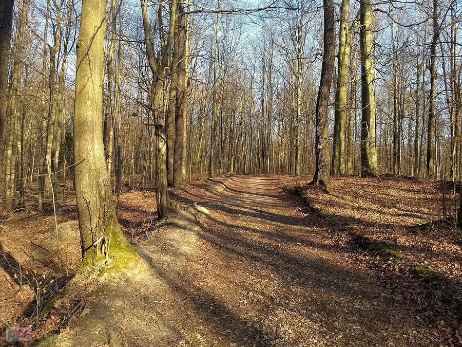 Klimat bardziej jesienny niż wiosenny