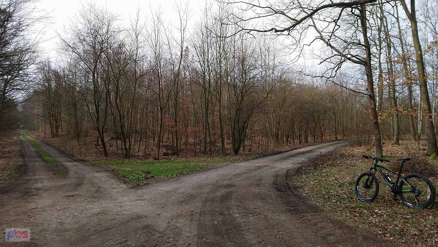 Pojechałem w prawo