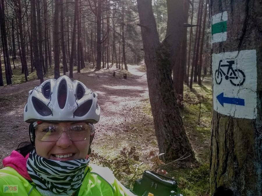 Niebieski rowerowy na Wyspie Sobieszewskiej
