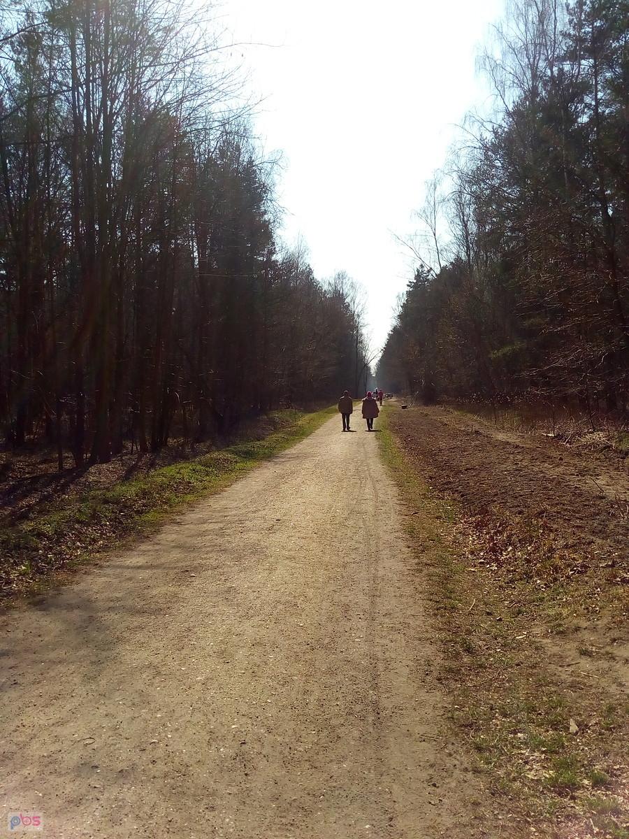 W lesie sporo ludzi, ale chodzą parami